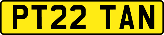 PT22TAN