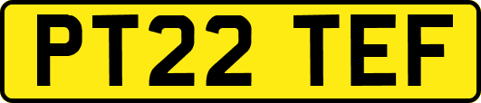 PT22TEF