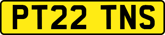 PT22TNS