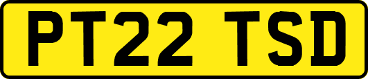 PT22TSD