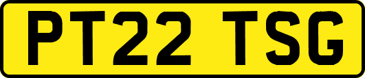 PT22TSG