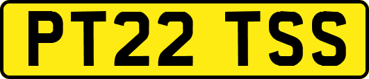 PT22TSS