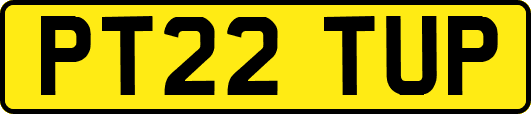 PT22TUP