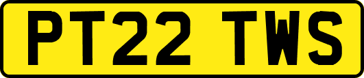PT22TWS