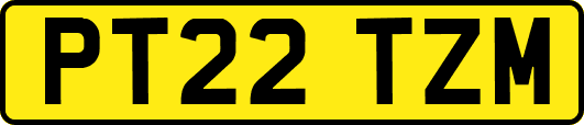 PT22TZM
