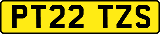PT22TZS