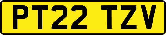 PT22TZV