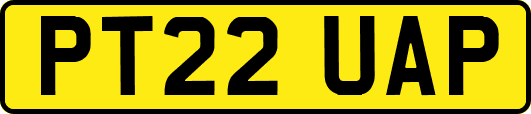 PT22UAP