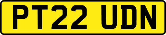 PT22UDN