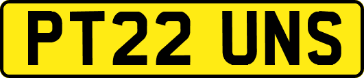 PT22UNS