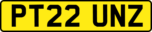 PT22UNZ