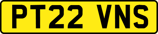 PT22VNS