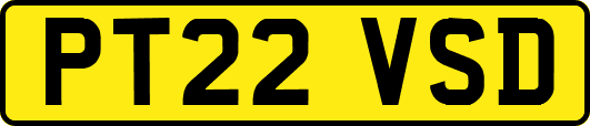 PT22VSD