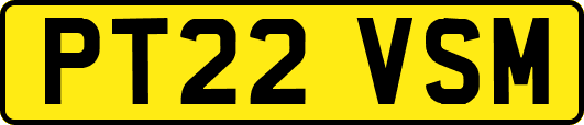 PT22VSM