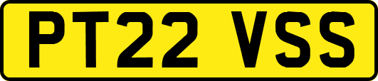 PT22VSS