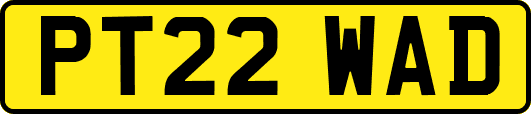 PT22WAD