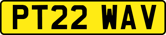 PT22WAV