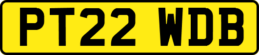 PT22WDB