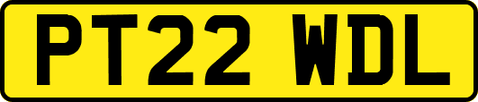 PT22WDL