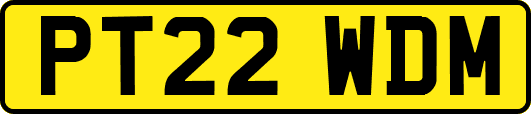 PT22WDM