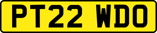 PT22WDO