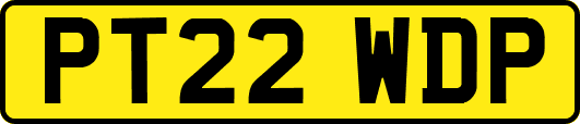 PT22WDP