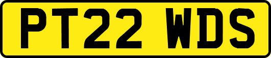 PT22WDS