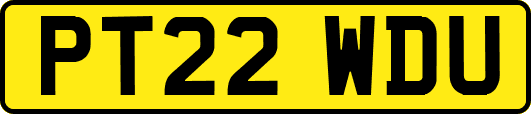 PT22WDU