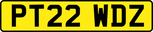 PT22WDZ