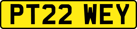 PT22WEY