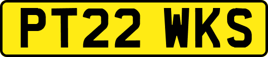 PT22WKS