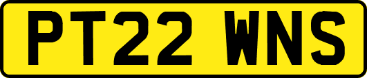PT22WNS