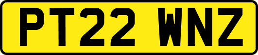 PT22WNZ