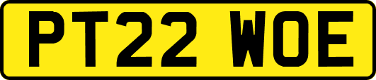 PT22WOE