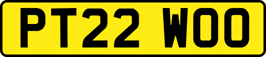 PT22WOO