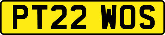 PT22WOS