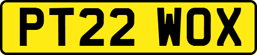 PT22WOX