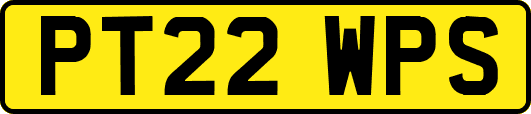 PT22WPS