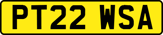 PT22WSA