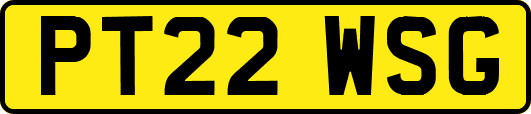 PT22WSG