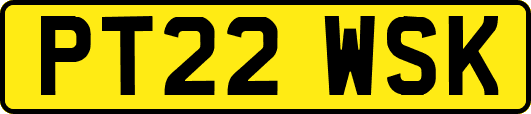 PT22WSK