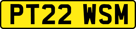 PT22WSM