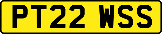 PT22WSS