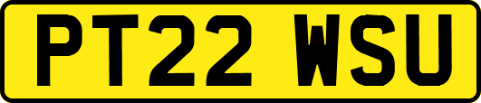 PT22WSU