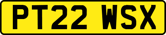 PT22WSX
