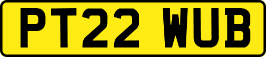 PT22WUB