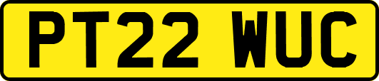 PT22WUC
