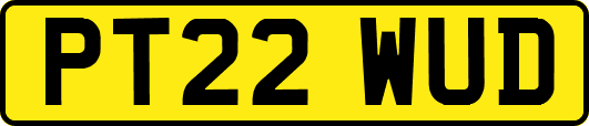 PT22WUD