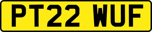 PT22WUF