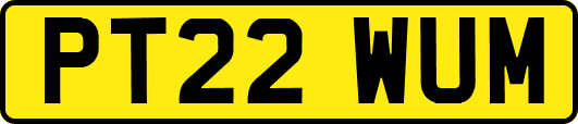 PT22WUM